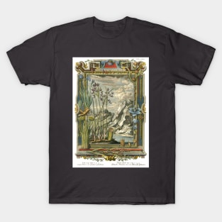 Wicked Rocks Like Marshy Plants - Physica Sacra T-Shirt